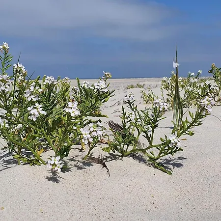 Tatil Evi Serene Retreat In Henne By-by Traum Henne Strand